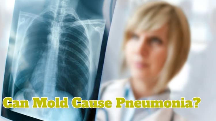 Can Mold Cause Pneumonia?