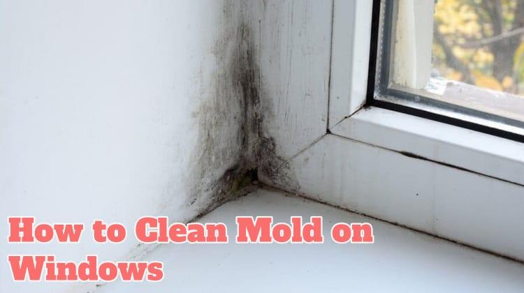 How to Inspect Mold on Windows