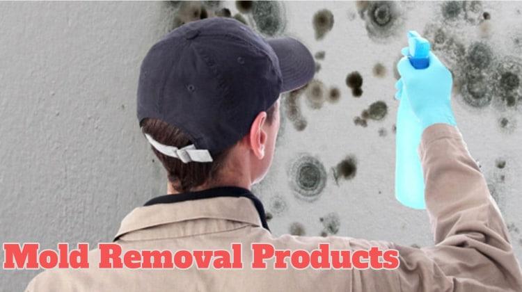 Mold Removal Products