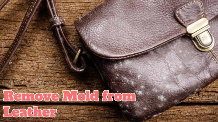 Remove Mold from Leather