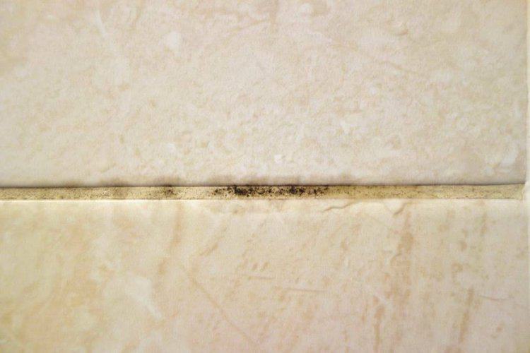 Black mold on tile grout: Step-by-step