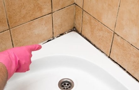How do I prevent black mold in shower drain?